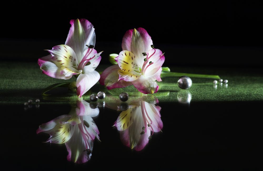 Reflection of flowers