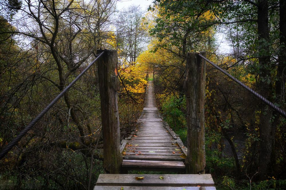 Photograph by Юлия Абрамова