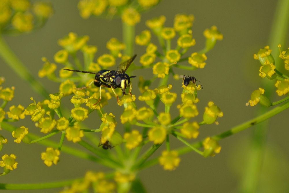 Photograph by Алексей Литвинов