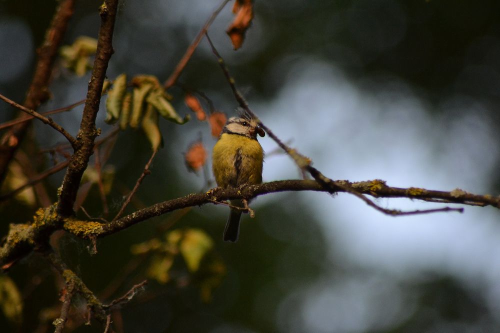 Photograph by Алексей Литвинов