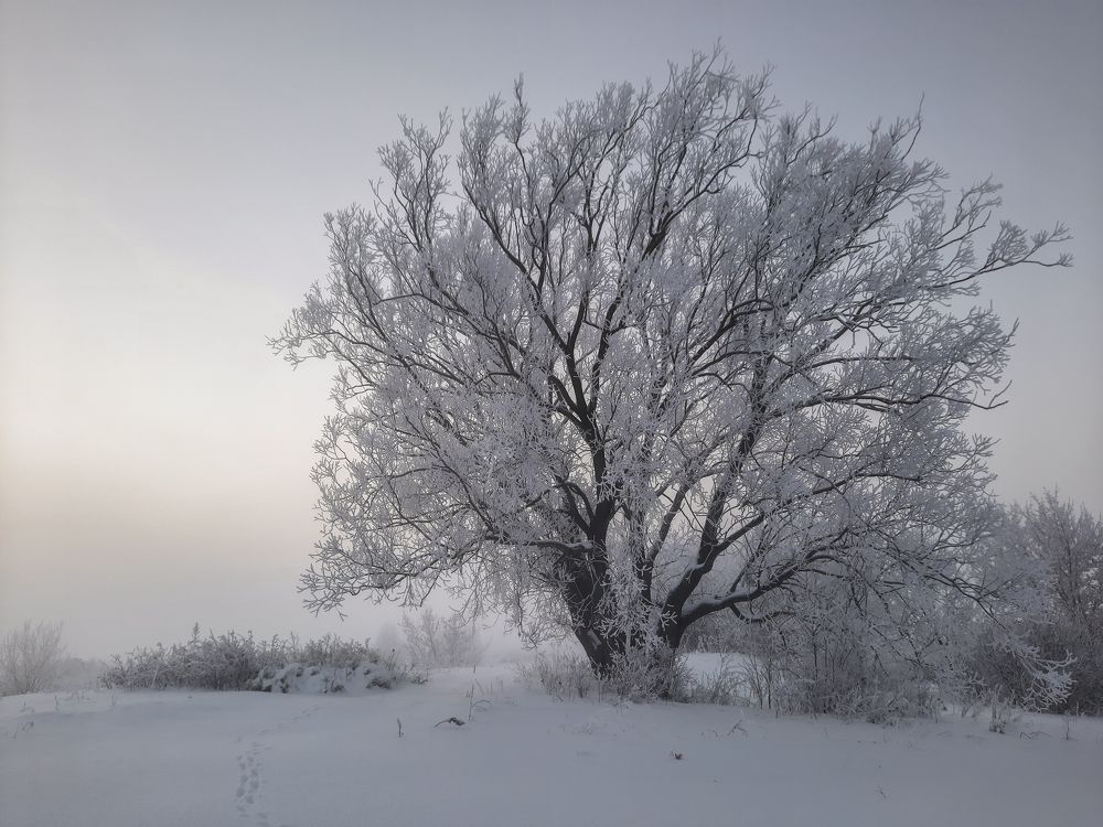 Photograph by Павел Бутко