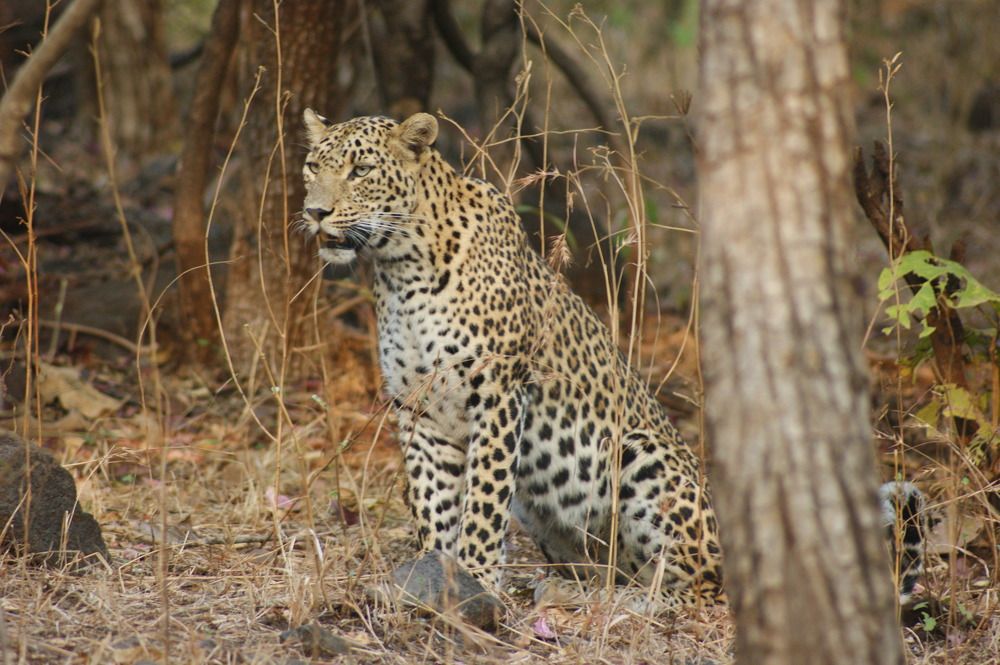 Photo #6961057