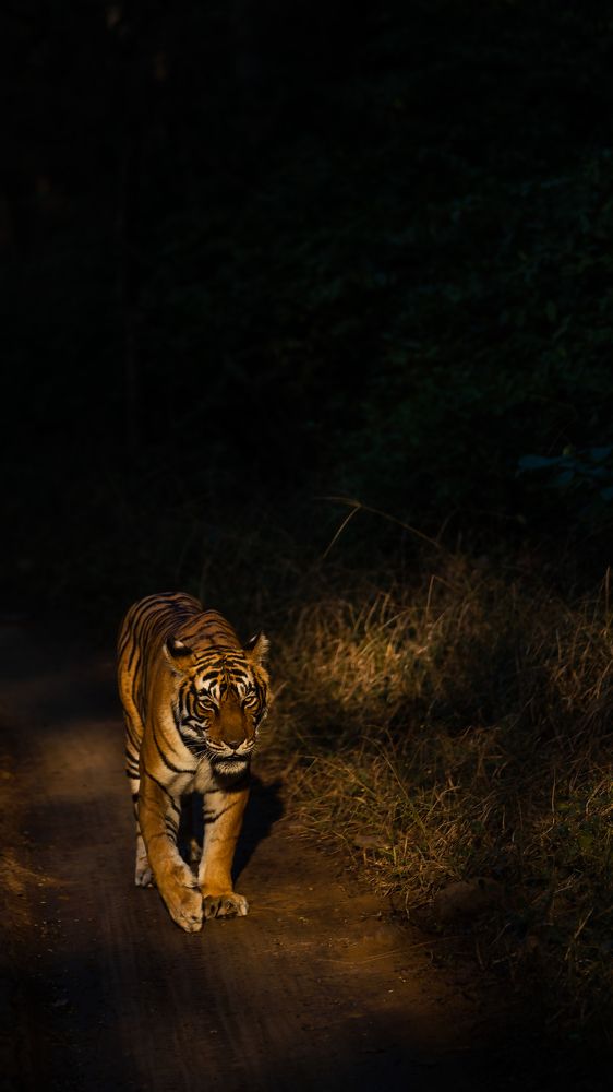 Photograph by Ayan Bhattacharya