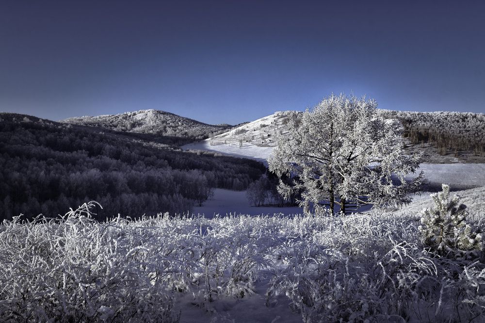 Photograph by Николай Привалов