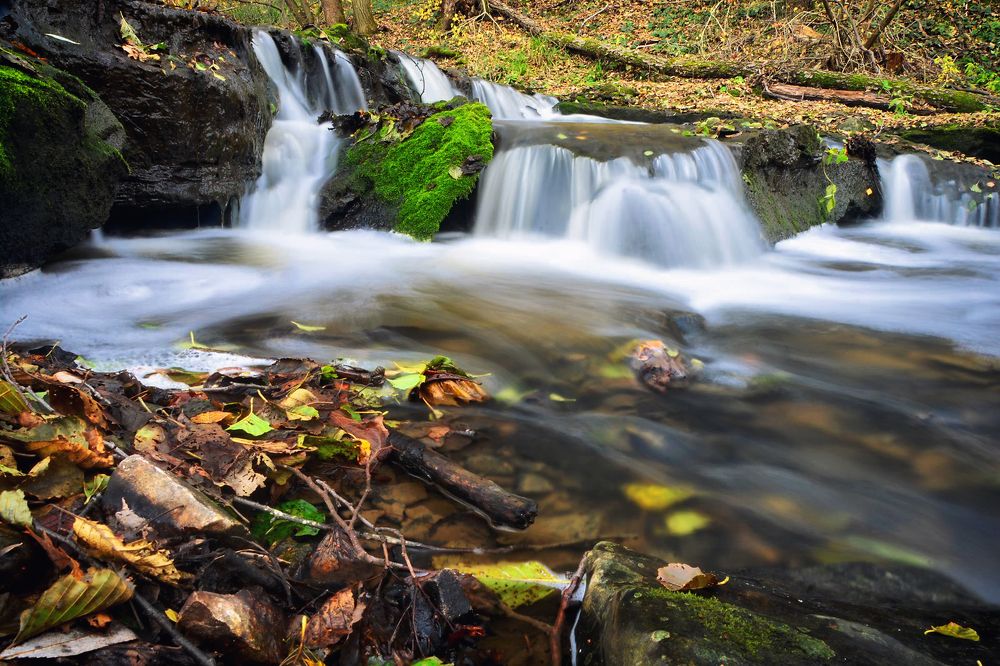 Photograph by Юлия Абрамова