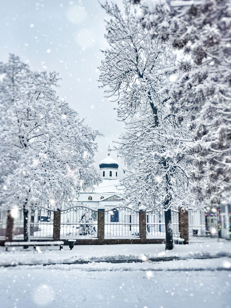 Photograph by Оксана Маракушина