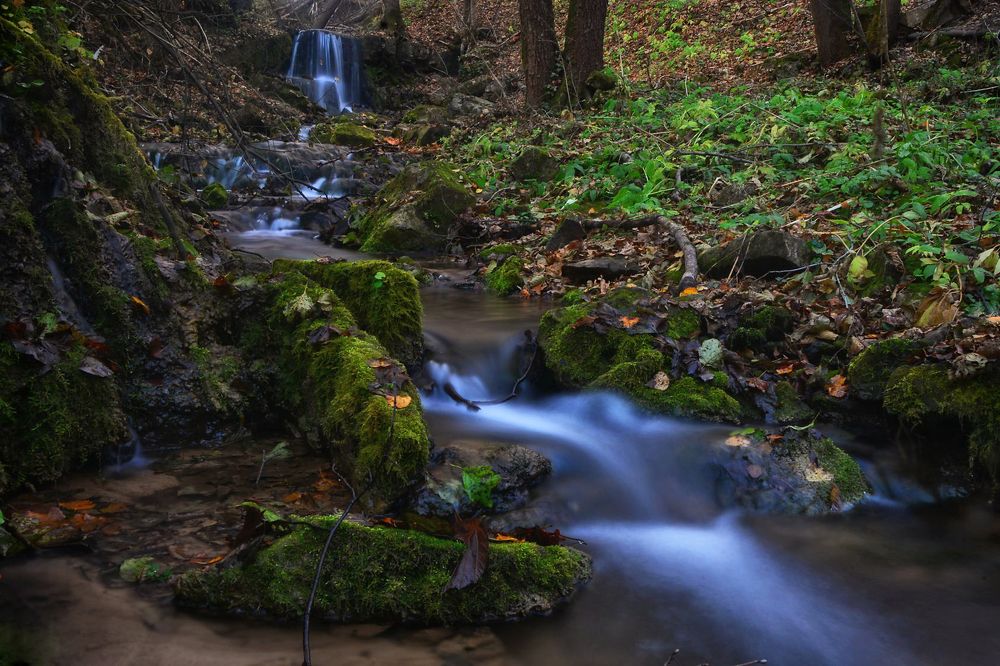 Photograph by Юлия Абрамова