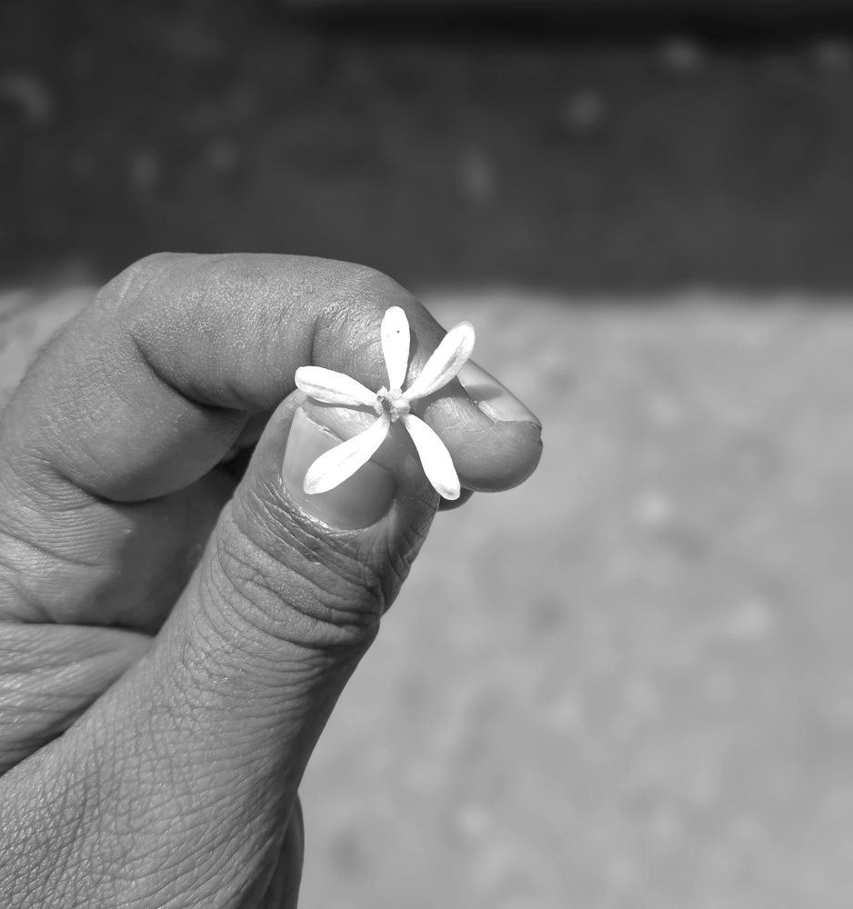 Фотография автора Ranjit pawar