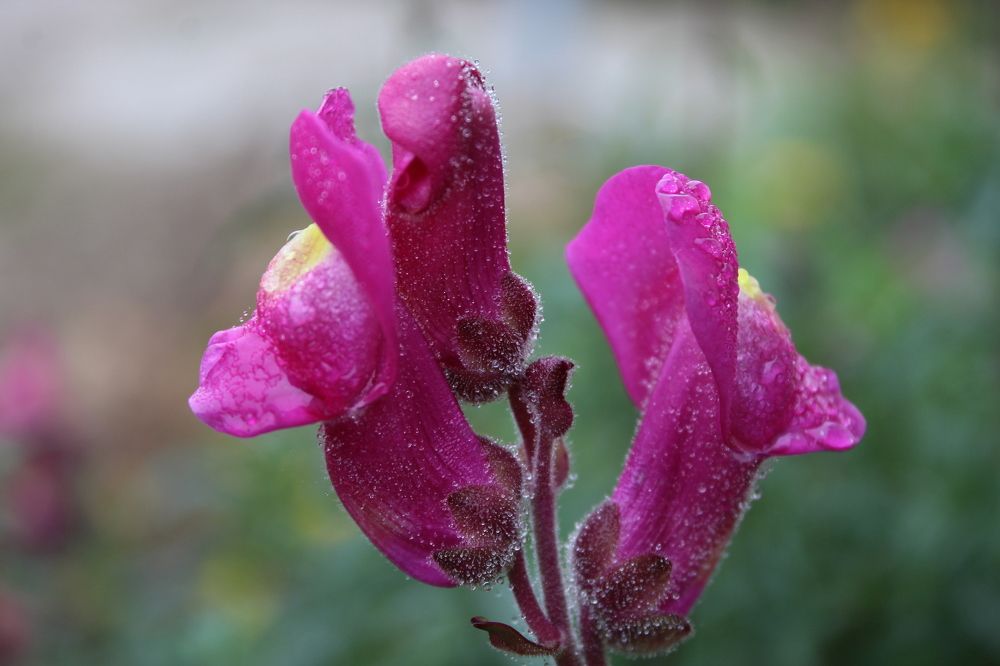 Photograph by Yordanka Vasileva