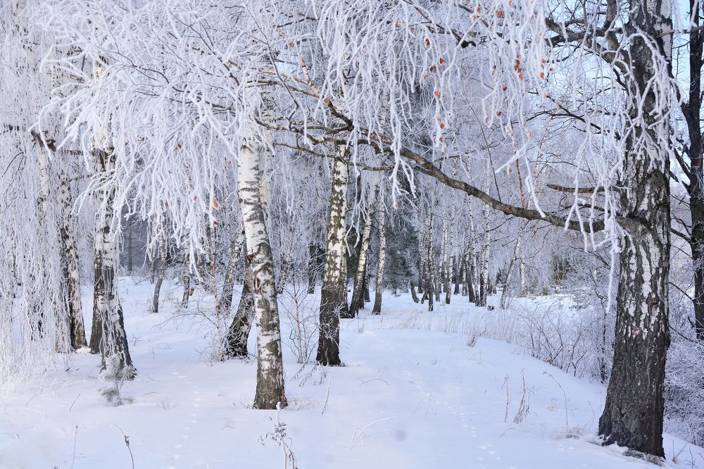 Photograph by Юлия Абрамова