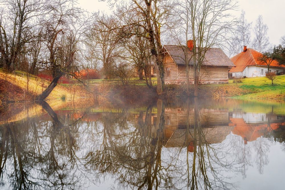 Photograph by Алена Устинович