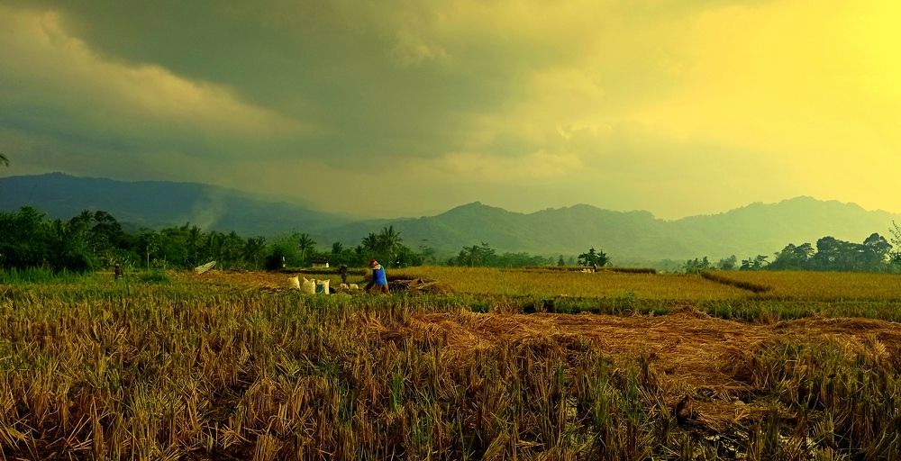 Photograph by Herawati