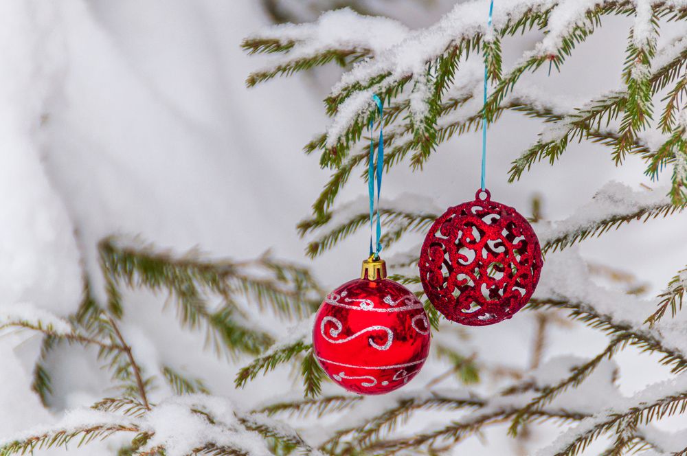 Photograph by Денис Кичев