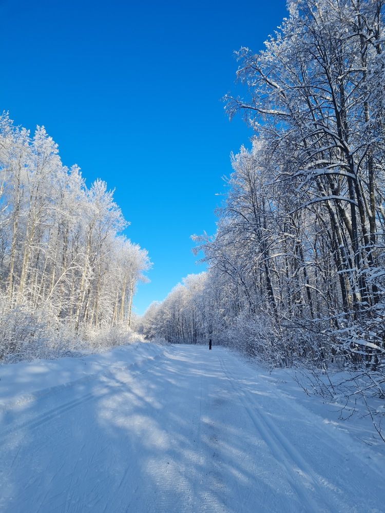 Photograph by Tatiana Denisova