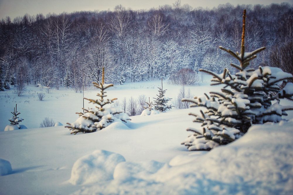 Photograph by Наталья Баруля