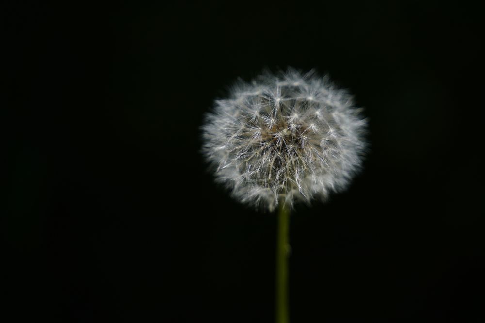 Photograph by Надежда Бехер