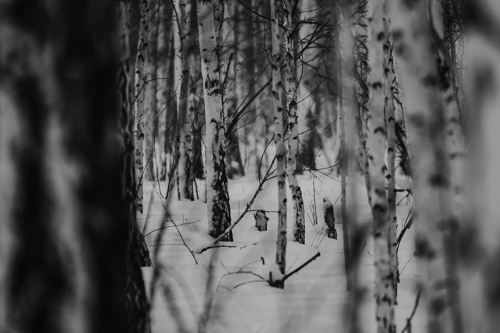 Photograph by Шарафутдинов Даниил