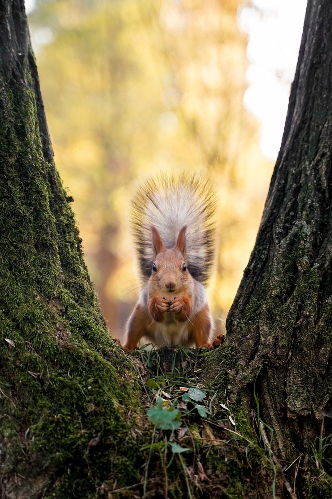 Photograph by Надежда Бехер