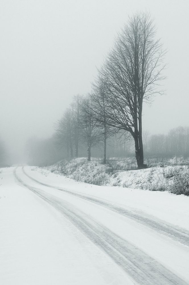 Photograph by Juris Buklovskis