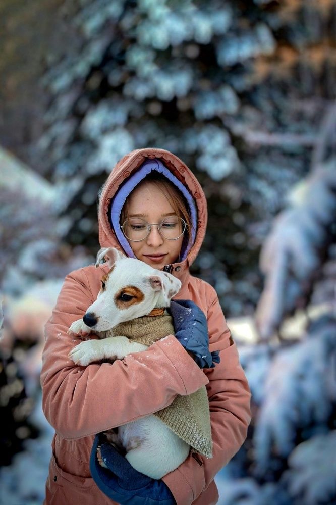 Photograph by Дина Чаица