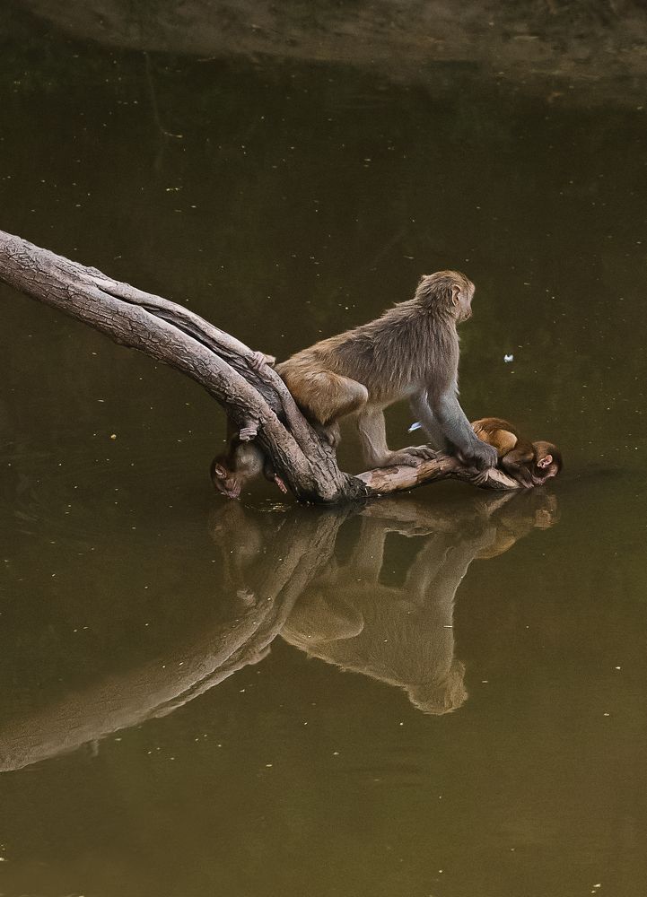 Reflection of drinking water