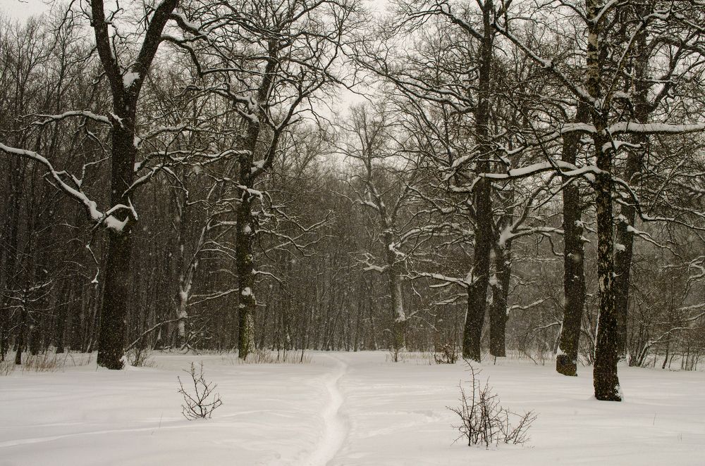 Photograph by Евгений Каримов