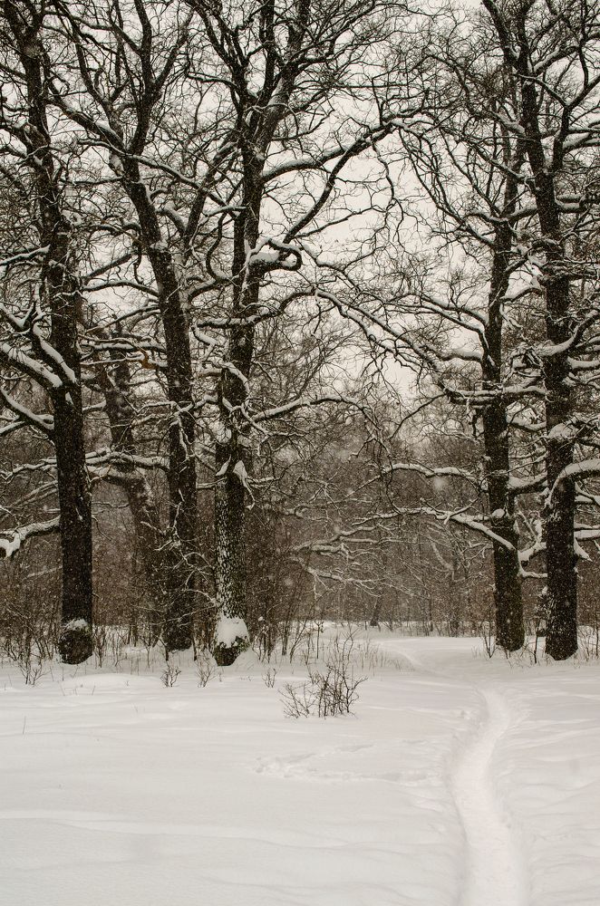 Photograph by Евгений Каримов