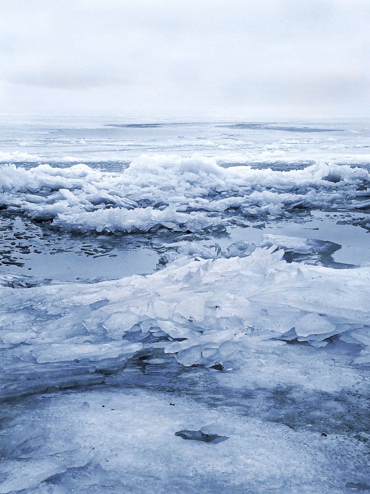 Photo #6961696
