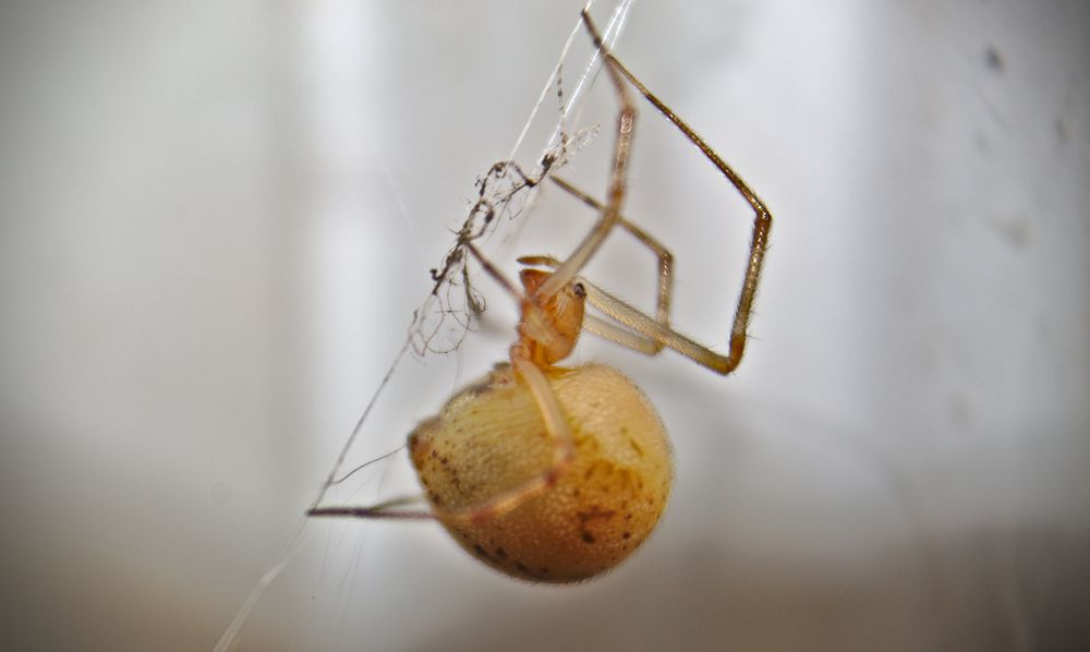 Photograph by VANDEIR FERREIRA SILVA PAIXAO