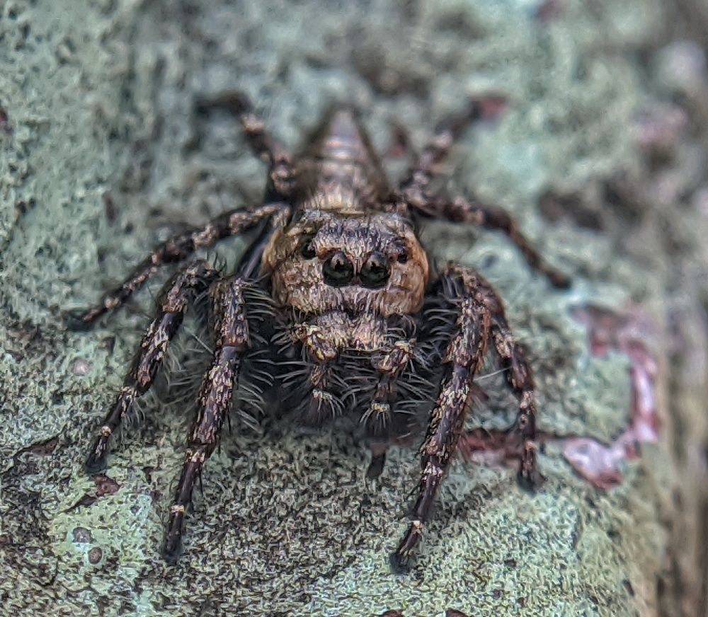 Photograph by SAIKAT PAL