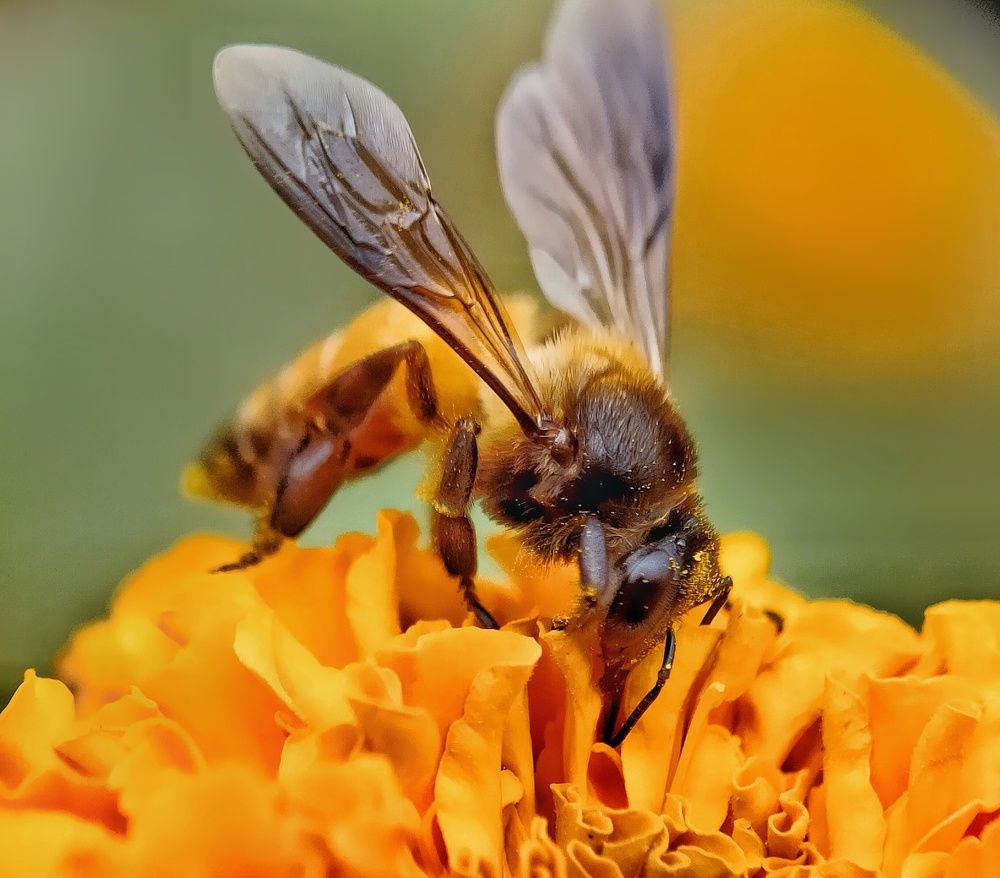 Photograph by SAIKAT PAL