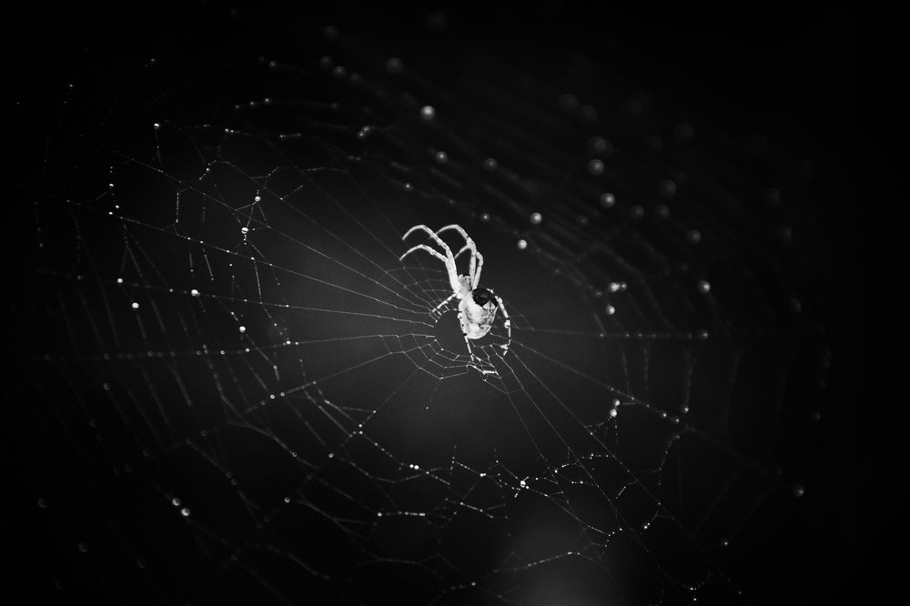 Фотография автора Андрей Алдошин