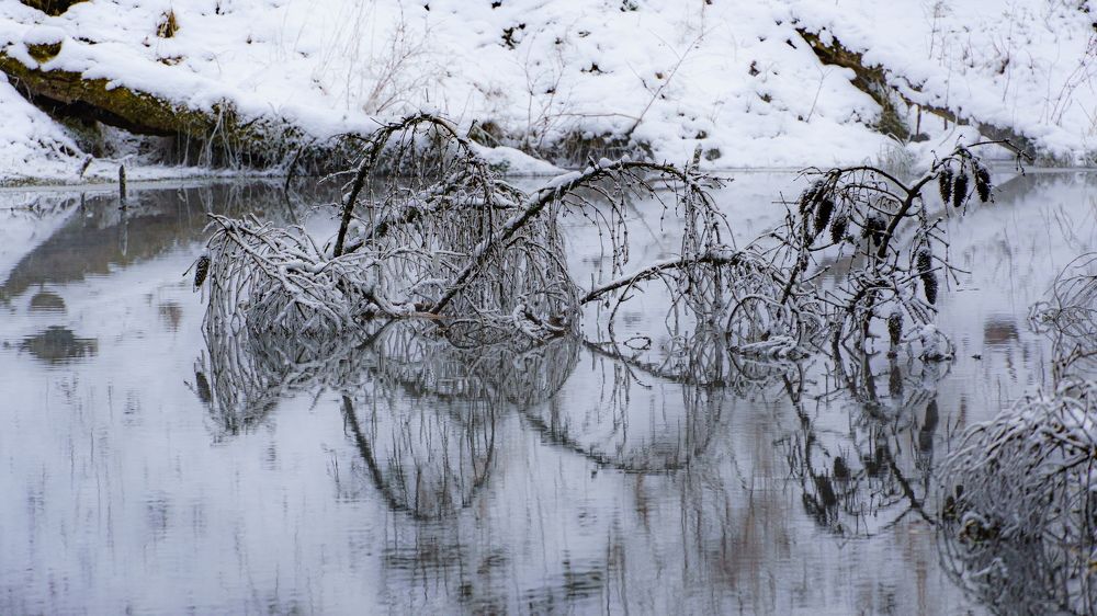 Photograph by Valdis Serzhans
