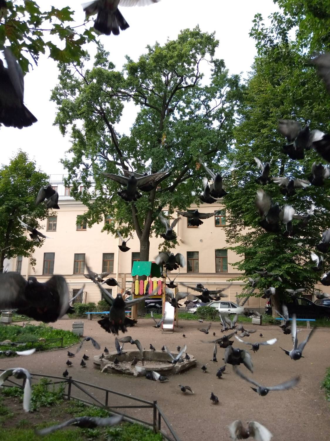 Photo #6962062