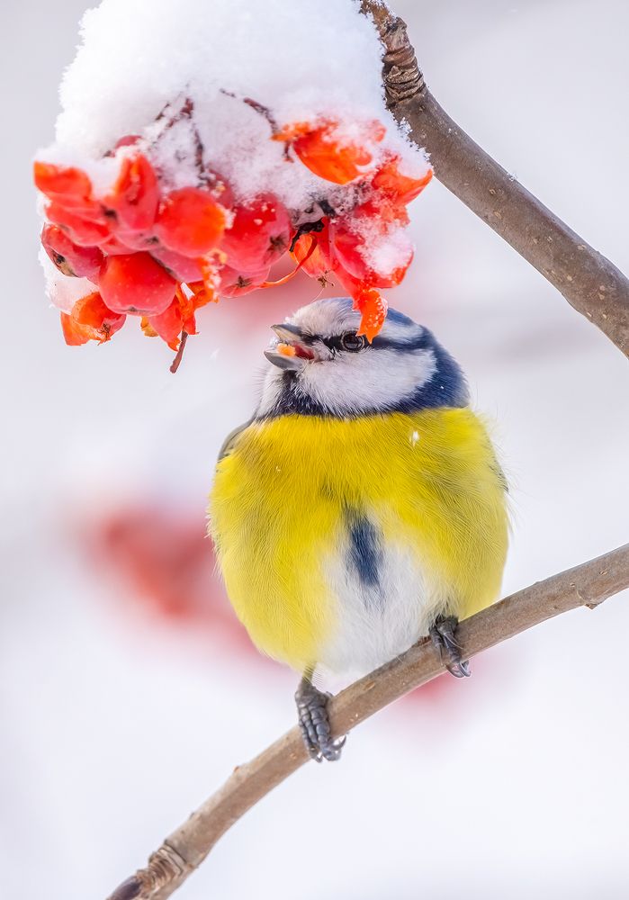 Photograph by Игорь Кляхин