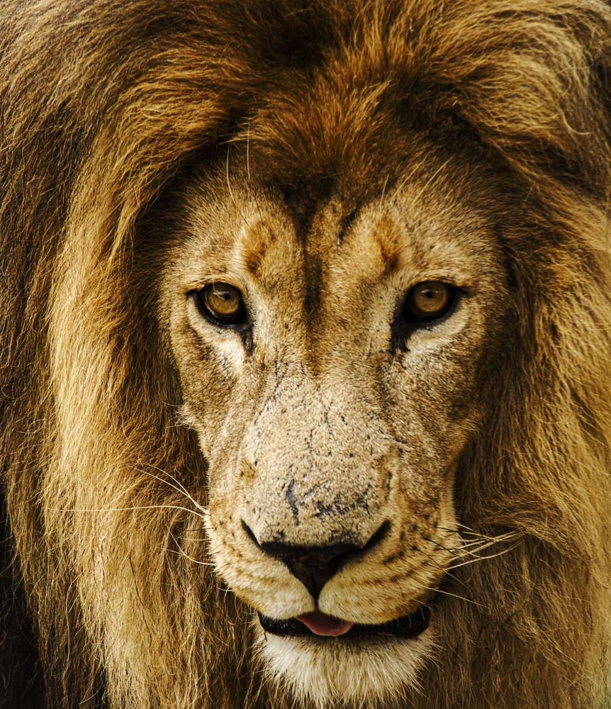 Photograph by Eduardo Franco