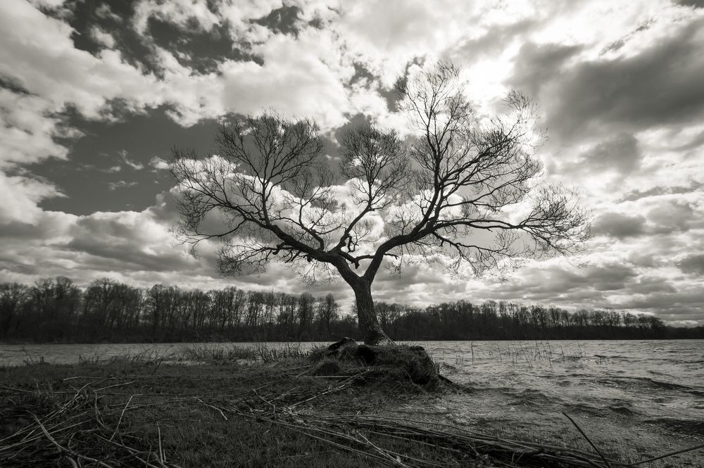 Photograph by Дмитрий Котов