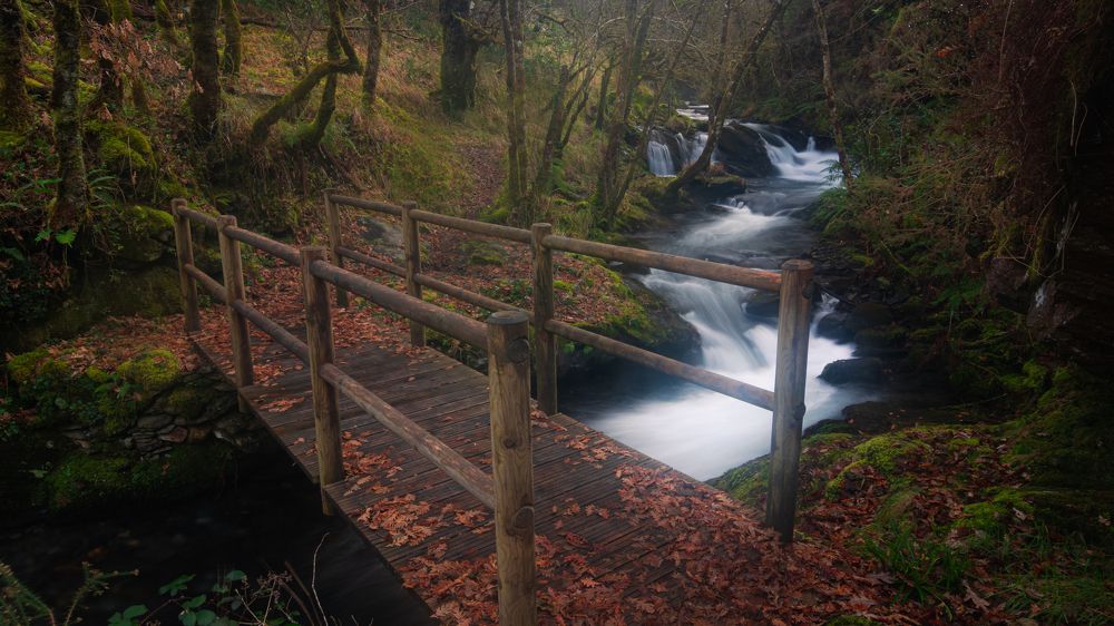 Фотография автора Laura Baratas