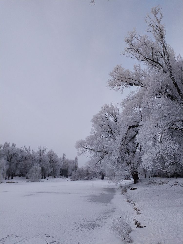 Photograph by Александр Панин