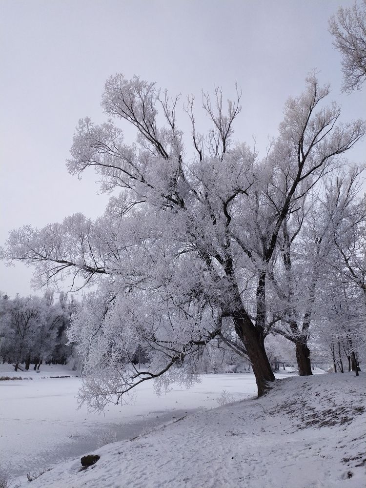 Photograph by Александр Панин