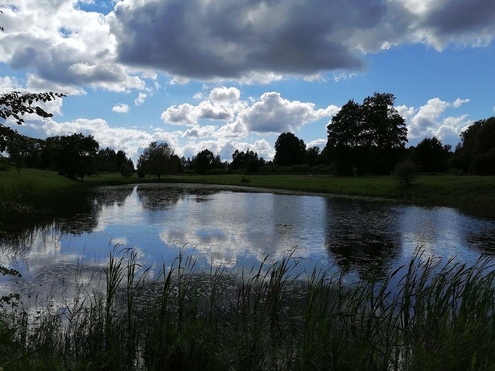 Пруд в усадьбе Тригорское.