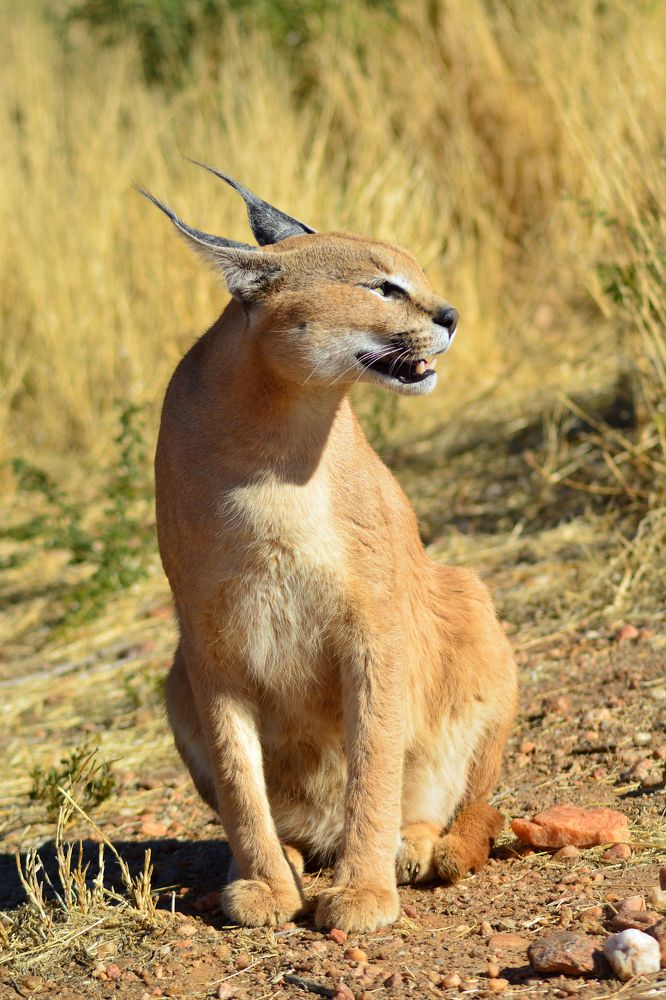 Photograph by Анатолий Орлов