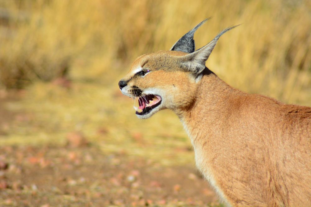 Photograph by Анатолий Орлов