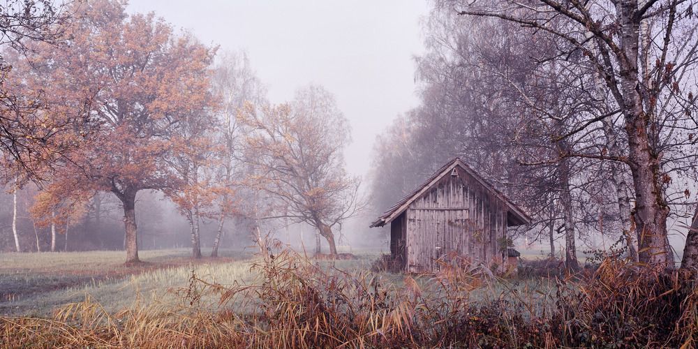 Photo #6962395