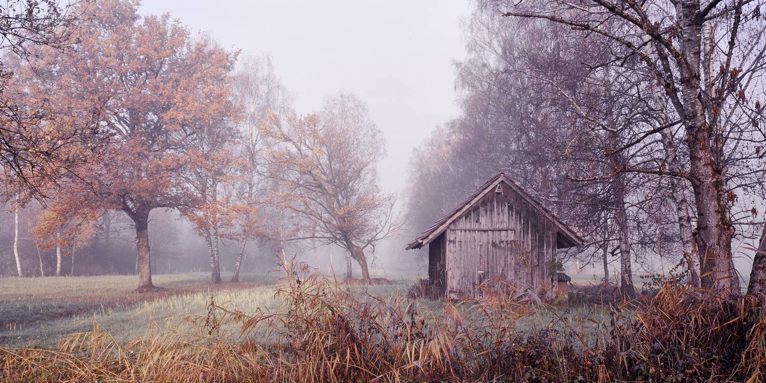 Photo #6962395