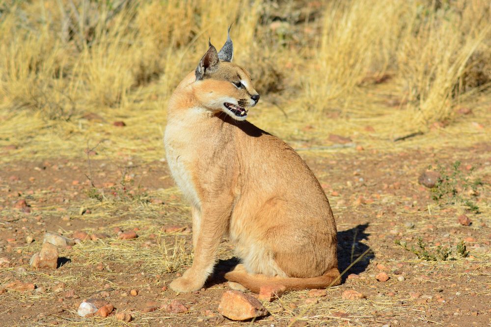 Photograph by Анатолий Орлов