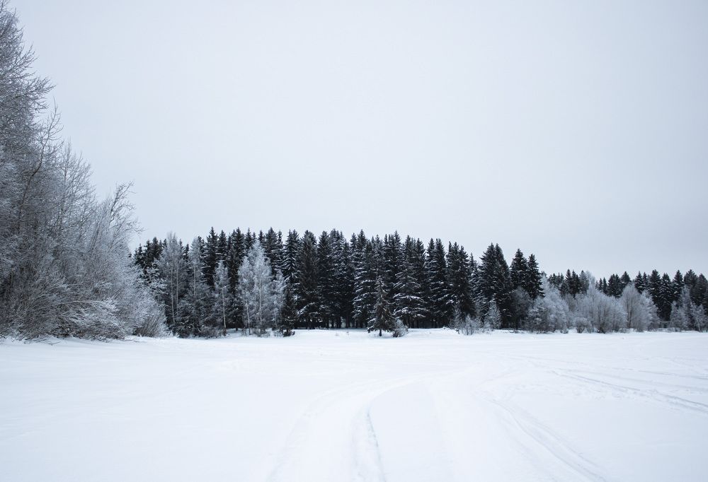 Photograph by Елена Коровкина