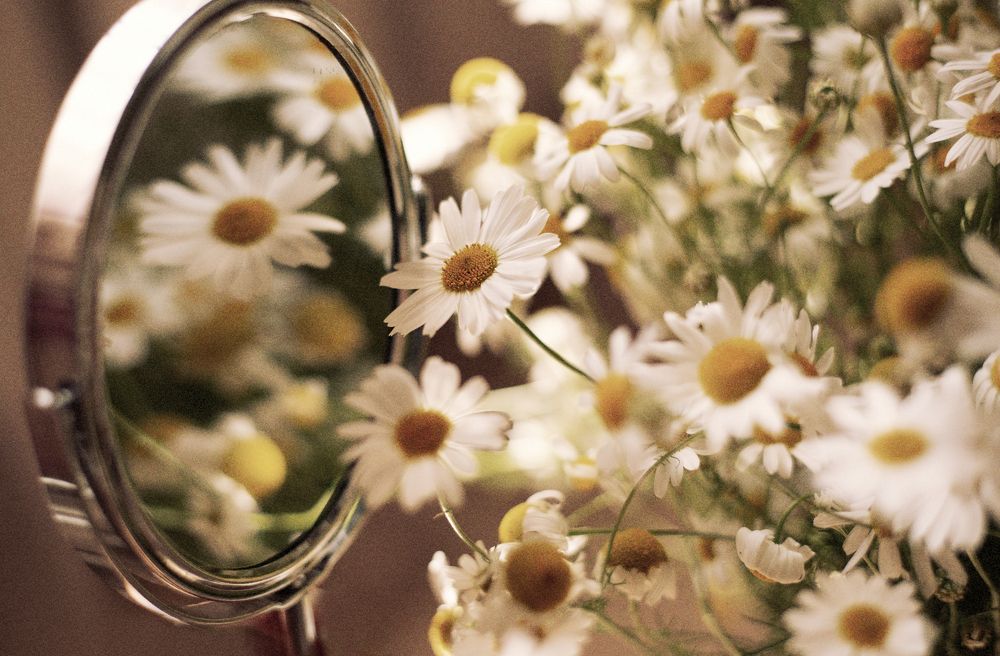 Photograph by Алена Полетаева