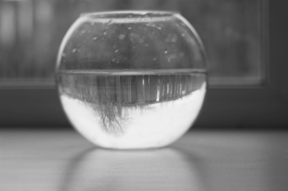 Photograph by Юния Пантелеева