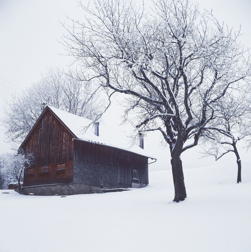 Photo #6962453
